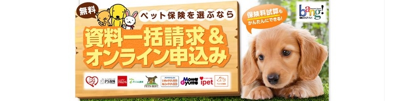 �y�b�g�ی��̎����ꊇ�����y�ی��X�N�G�Abang! �y�b�g�ی��z���T�C�g